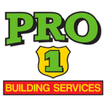 Pro1 Logo